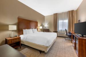a hotel room with a bed and a television at Comfort Inn I-20 Midland Stanton in Stanton