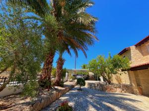 a street with palm trees and a building at Niki villa in Pano Akourdalia