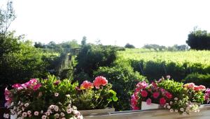 einen Garten mit Blumen und einem Feld im Hintergrund in der Unterkunft Zum Rebberg Ferienwohnungen in Freiburg im Breisgau