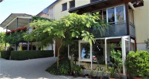 ein Haus mit einer Palme davor in der Unterkunft Zum Rebberg Ferienwohnungen in Freiburg im Breisgau + 38 Fotos