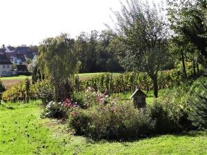 ein Garten mit einem Vogelhaus im Gras in der Unterkunft Zum Rebberg Ferienwohnungen in Freiburg im Breisgau