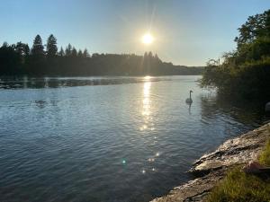 Landskap semula jadi dekat dengan apartmen +5 gambar