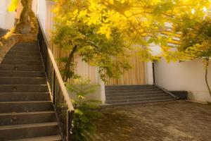 Gallery image of Cieloblu In Hotel Matara in Palatuwa