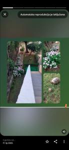 Fotografie z fotogalerie ubytování Apartmani Gaga v destinaci Bibinje