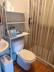 a bathroom with a toilet and a shower at La Cabaña de Morgan, Refugio con alma en el corazón de Galicia in Arnoia