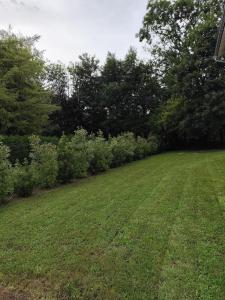 a yard with a green lawn with trees and bushes at Appartement atypique chaleureux in Rosières-devant-Bar