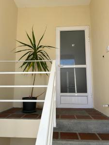 een plant die op de trap naast een deur staat bij Moon Flower, Pereybere in Grand Baie