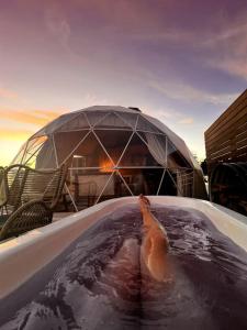 a polar bear swimming in a hot tub at Bespoke Dome Perfect for a Couples Getaway in Tasmania in Sidmouth