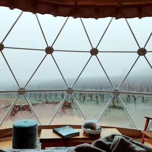 Zimmer mit einem großen Glasfenster mit Aussicht in der Unterkunft Incredible Dome Getaway on a Vineyard Perfect for Glamping, Tasmania in Sidmouth