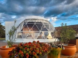 Zahrada ubytování Domescapes in the Vines, a Unique Vineyard Escape, Tasmania, Australia