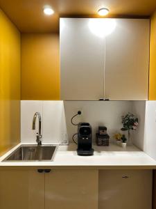 a kitchen with a sink and a counter top at L'Écrin Bohème - Jacuzzi & Sauna - Amiens in Amiens