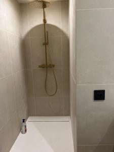 een douche met een slang in de badkamer bij Appartement chic et de caractère ! in Saint-Cyr-au-Mont-dʼOr +5 foto's
