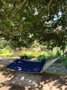 Φωτογραφία από το άλμπουμ του Off-Grid Bell Tent Glampsite Overlooking Creek, with Outdoor Fireplace in Waikato, New Zealand σε Raglan