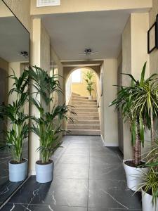 a hallway with potted plants and stairs in a building at Home by Ginger in Reichenbach im Vogtland