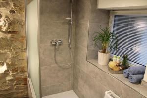 a bathroom with a shower with a plant on a shelf at Haus Buckaroo – Rancho el Rosal in Bad Mergentheim