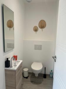 a bathroom with a toilet and a sink and a mirror at 4 bedroom 4 bathroom villa 15 with pool and hot tub in Saint-Augustin +20 photos