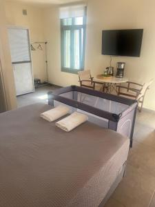 a bedroom with a bed with a flat screen tv at Xenion1850 culture and living in Vrontádos
