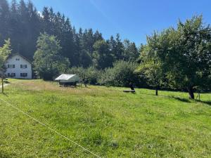 Ein Feld mit einem Haus und einer Scheune im Hintergrund in der Unterkunft Wiesenbett unterm Nachthimmel in Regen