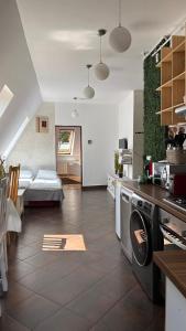 a kitchen with a stove and a couch in a room at Pannónia Rooms and Apartments in Satu Mare