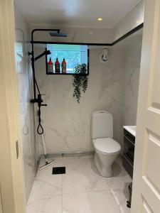 a bathroom with a toilet and a television on the wall at Mysiga lägenheten I Örebro in Örebro +7 photos