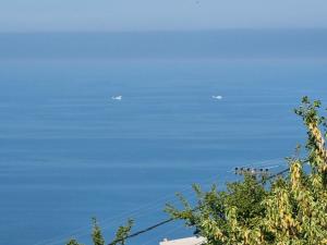 two planes flying over the water in the sky at Crystalias country house in Mouresi