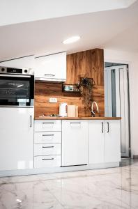 Η κουζίνα ή μικρή κουζίνα στο Apartman Emili Kotor-Ljesevici