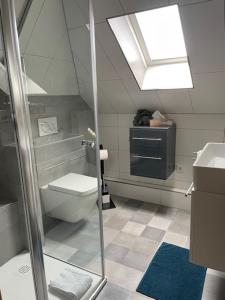 a bathroom with a toilet and a sink at Ferienwohnungen Kutscherschänke in Bad Zwischenahn +26 photos