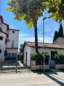 a palm tree in front of a building at Kuća Aurora in Rovinj