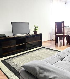 サン・ジョゼ・ドス・カンポスにあるApartamento em frente Shopping Colinasのリビングルーム(テレビ、ソファ付)