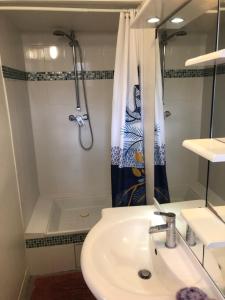 a bathroom with a sink and a shower at Chez iris in Noisy-le-Grand +17 photos