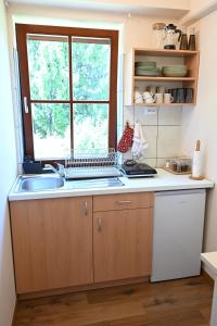 a kitchen with a sink and a window at Sobe in apartma Portus in Rakek