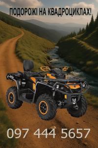 Gallery image of Panorama in Slavske