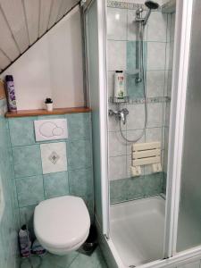 a bathroom with a toilet and a shower at Babičina hišica in Mišji Dol