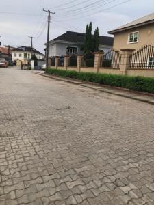 a cobblestone street in front of a house at Qelifox apartment service in Lekki