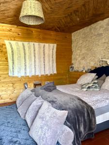 a bedroom with two beds and a chandelier at Typic House - Maison piscine CLIM et VUE in Albi