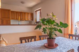 Gallery image of Residence Galatea -Bilocale in Palau