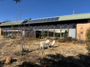 two sheep standing in a field in front of a building at Sonskip Oornagverblyf in Orania