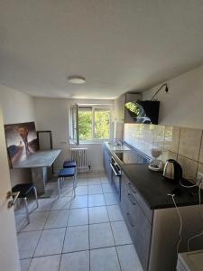 Kuchyň nebo kuchyňský kout v ubytování Monteurlodge Donaublick