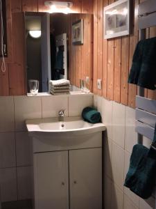 a bathroom with a sink and a mirror at Les Gîtes des Chaumes de Villeneuve - Le Chalet in La Celle-sous-Gouzon