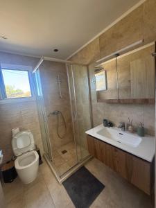 a bathroom with a shower and a toilet and a sink at Remvi Apartment 3 in Armenistis +6 photos