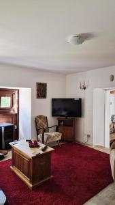 ein Wohnzimmer mit Fernseher und rotem Teppich in der Unterkunft apartment, gite by the canal l Est,river Coney vosges france in Fontenoy-le-Château