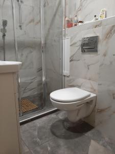 a bathroom with a white toilet and a shower at Piccolo in Knin