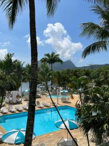 a swimming pool with lounge chairs and palm trees at Apartamento com piscina a poucos passos da praia in Niterói