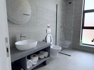 a bathroom with a sink and a toilet and a mirror at Kompleksi Endeta in Bathore