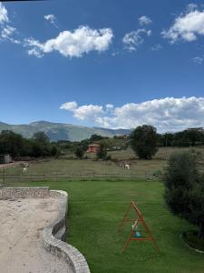 a red triangle in a field of green grass at B&B La Coccinella in Amaseno +8 photos