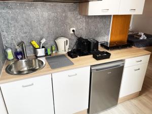 a small kitchen with a sink and a counter top at Studio Saignelégier de plain pied in Saignelégier