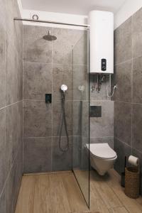 un bagno con doccia in vetro e WC di Wyjątkowy dom nad jeziorem - TU SIĘ ODPOCZYWA a Kąp