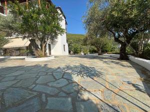 a shadow of a tree on a stone road at Lily's Guest House in Megali Ammos