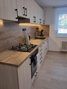 a kitchen with white cabinets and a stove top oven at Apartmán Dukla in Pardubice +2 photos