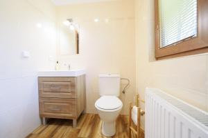 a bathroom with a toilet and a sink at Kovarov26 in Frymburk